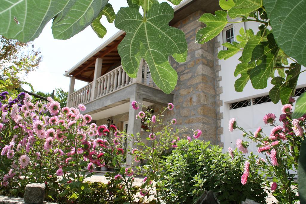 Castelo Dos Sonhos Hotel Valadares  ภายนอก รูปภาพ
